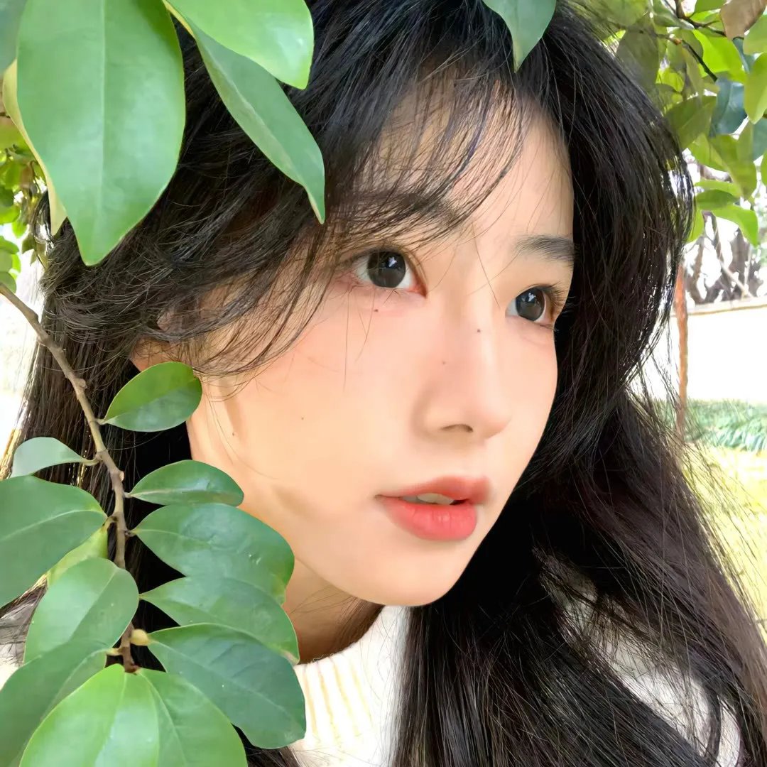 尼罗河之子